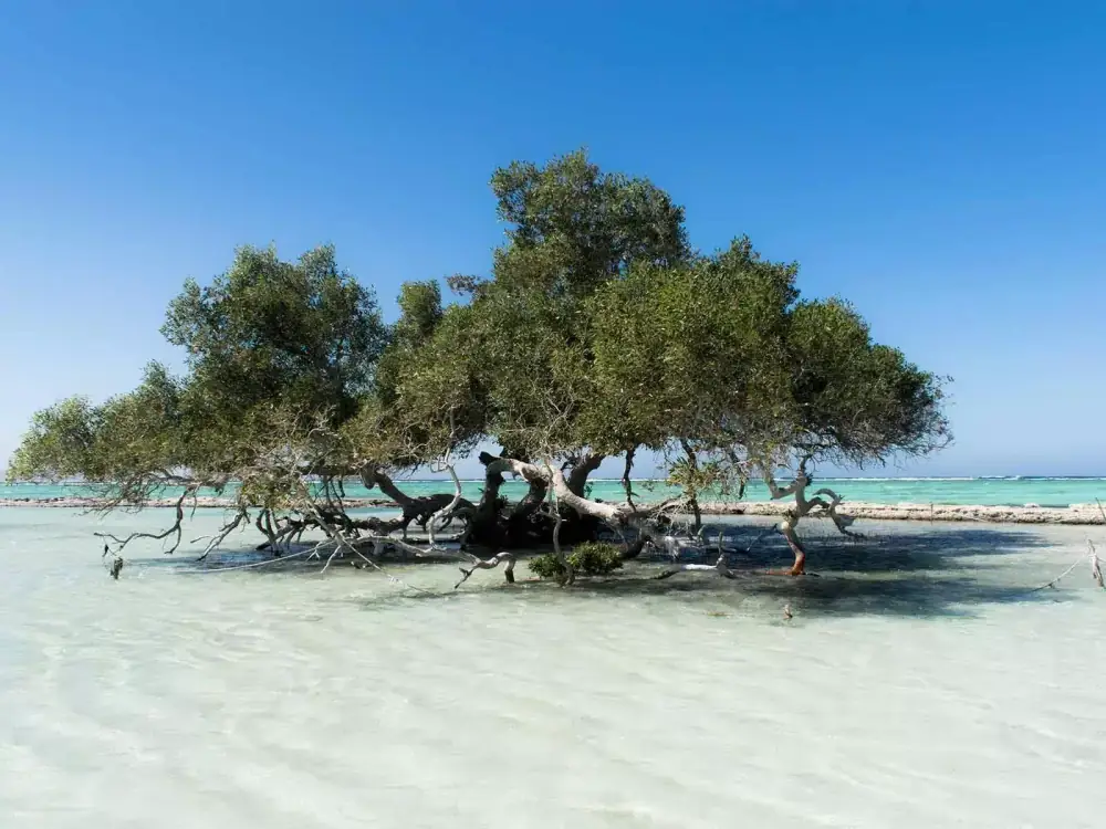 Percorso dall'Aeroporto di Hurghada a Marsa Alam lungo la costa del Mar Rosso