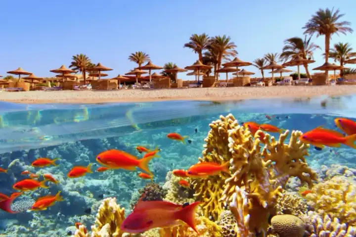 Flughafentransfer in Hurghada mit Gepäck direkt zum Hotel